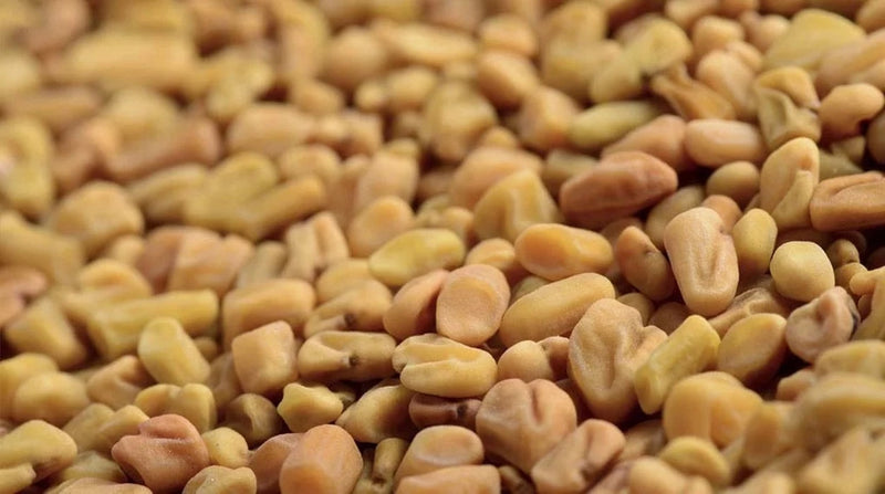 Load image into Gallery viewer, Rajah Spices Whole Spice Whole Fenugreek Seeds Methi
