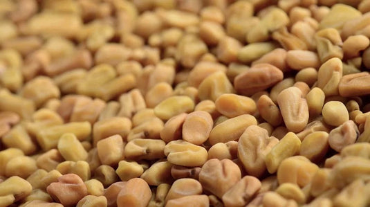 Rajah Spices Whole Spice Whole Fenugreek Seeds Methi